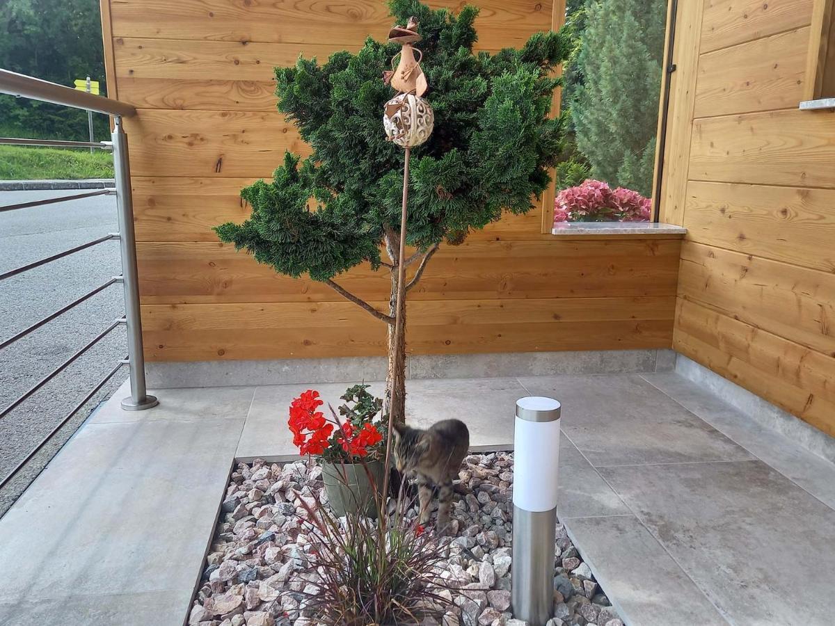 Ferienwohnung beim Tischler Vorderstoder Exterior foto